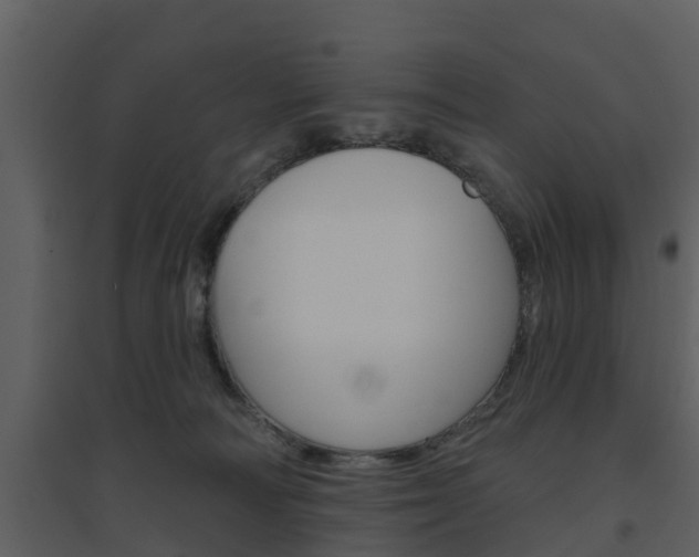 X0000094790226200711160924