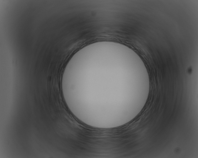 X0000094790233200711160924