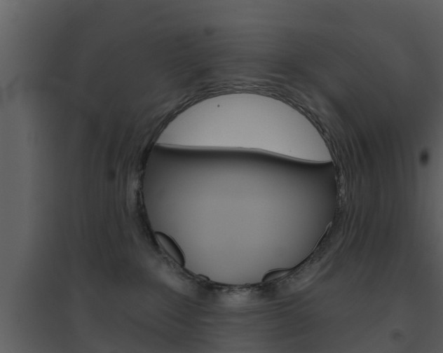 X0000094790235200711160924