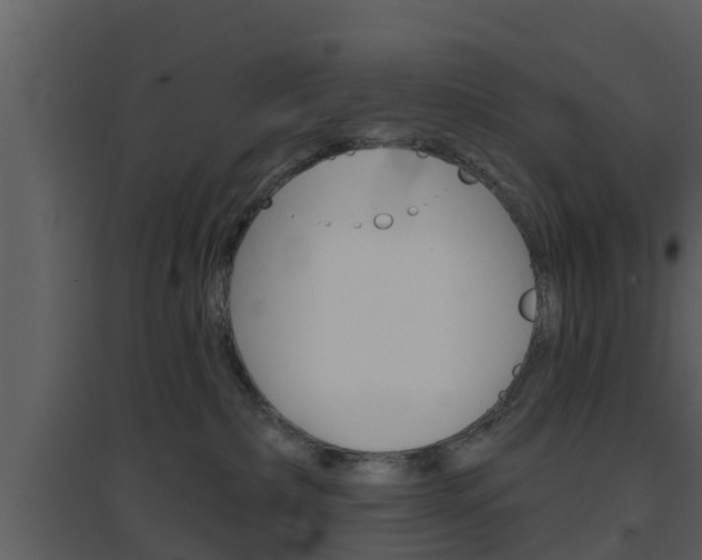 X0000094790236200711160924