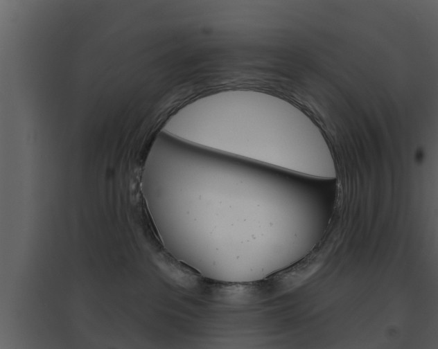 X0000094790237200711160924