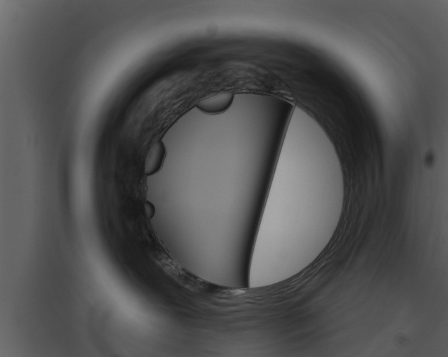 X0000094790239200711160924