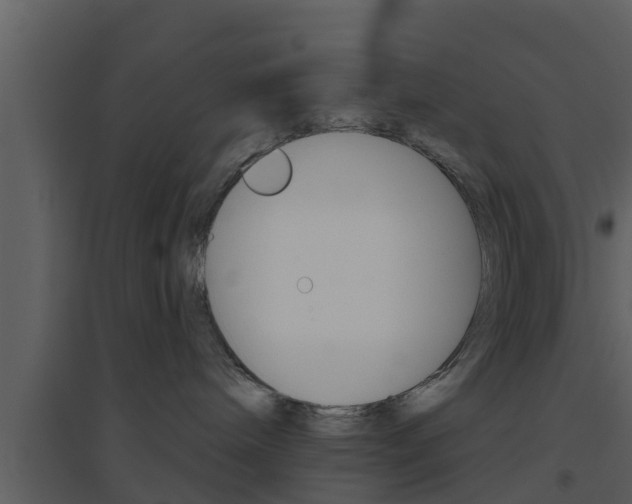 X0000094790240200711160924