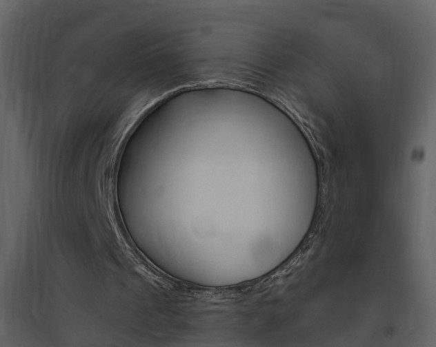 X0000094790241200711160923