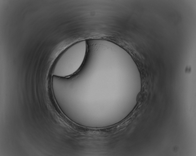 X0000094790242200711160923
