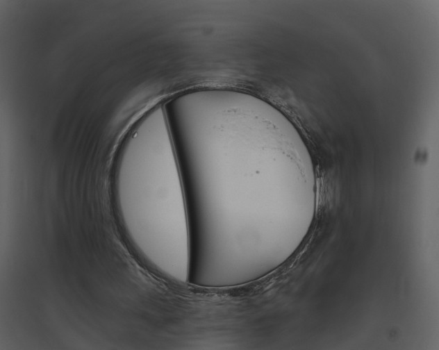 X0000094790243200711160923