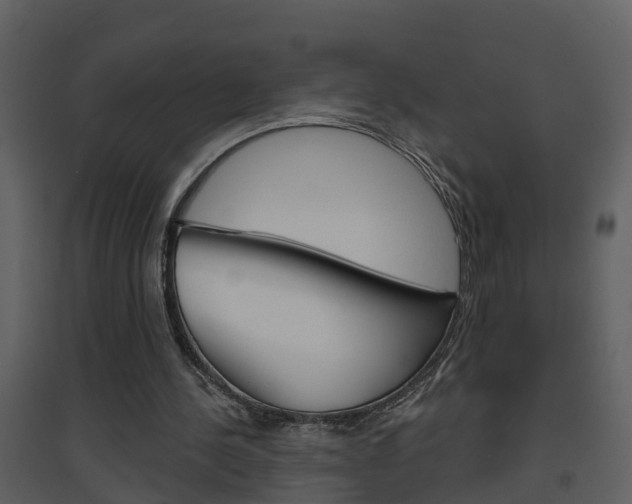 X0000094790244200711160923