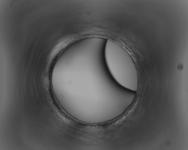 X0000094790245200711160923