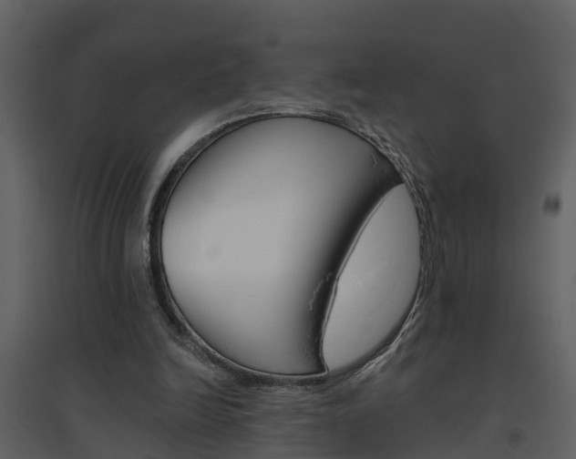 X0000094790246200711160923