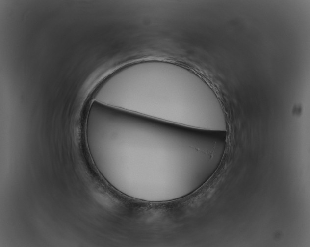 X0000094790247200711160923