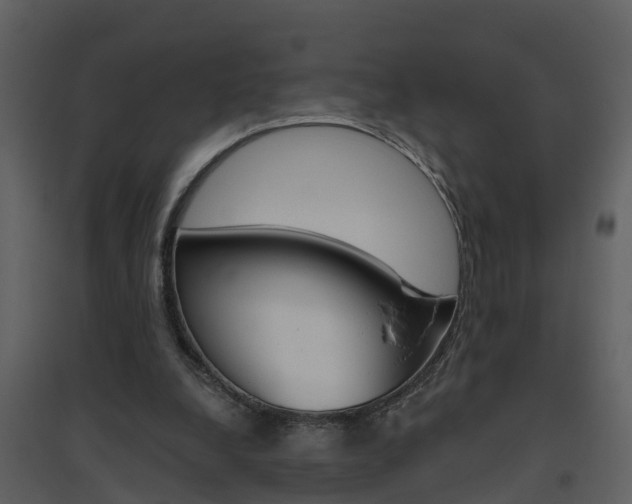 X0000094790248200711160923