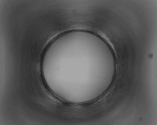 X0000094790249200711160923
