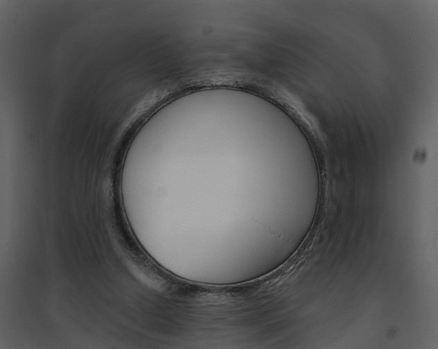 X0000094790250200711160924