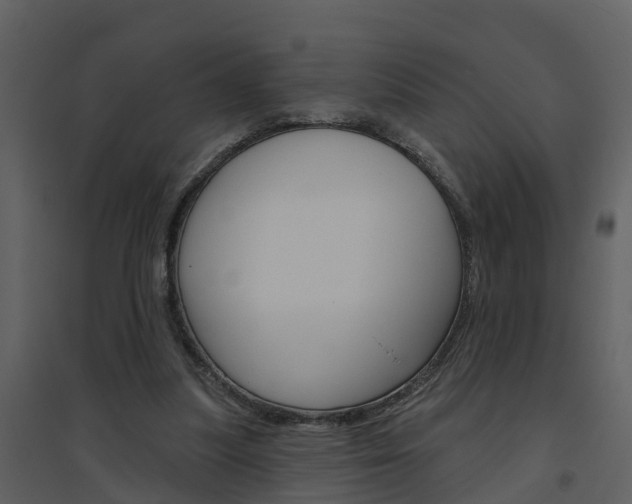 X0000094790251200711160924