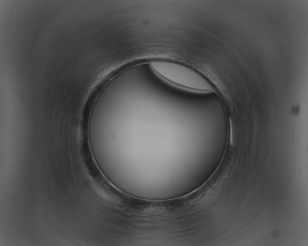 X0000094790252200711160924