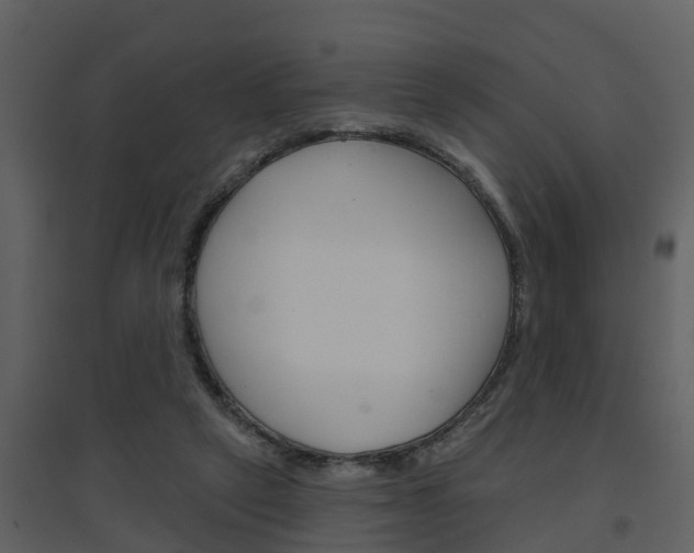 X0000094790257200711160924