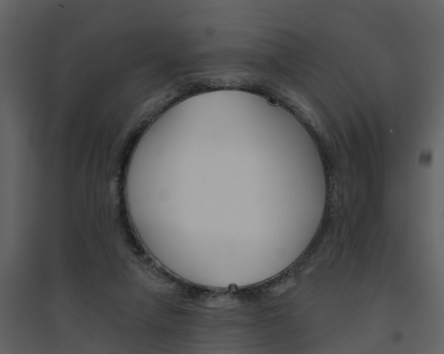 X0000094790258200711160924