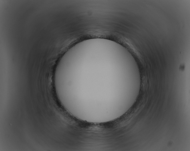 X0000094790259200711160924