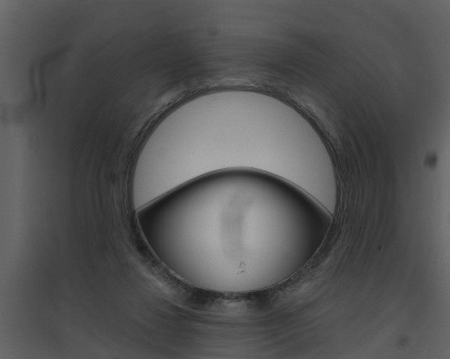 X0000094790260200711160924