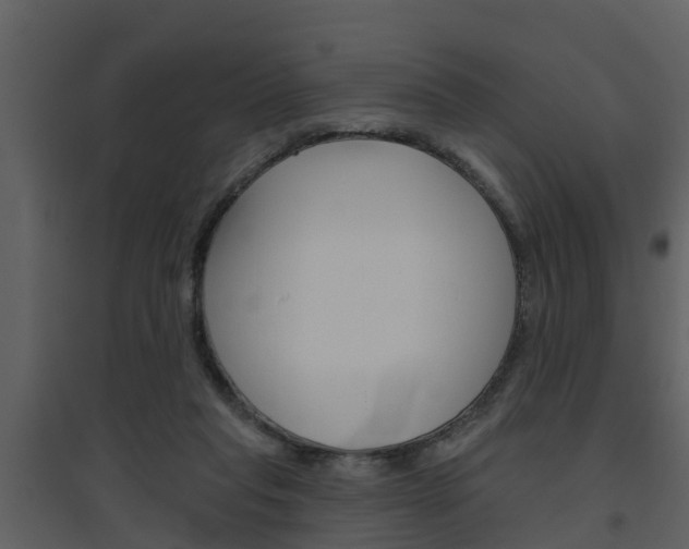 X0000094790261200711160924