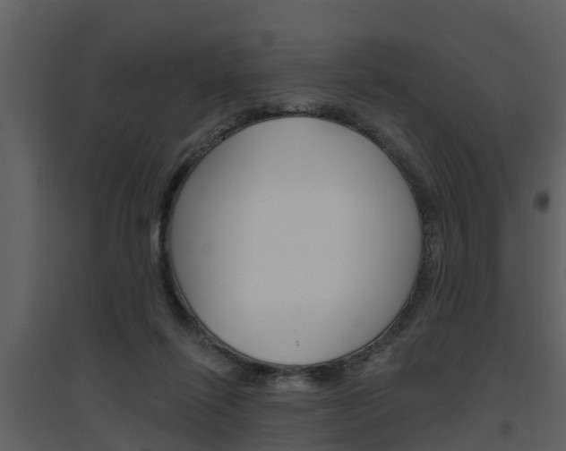 X0000094790262200711160924