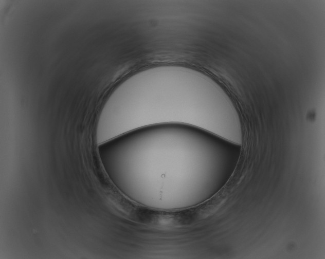 X0000094790264200711160924