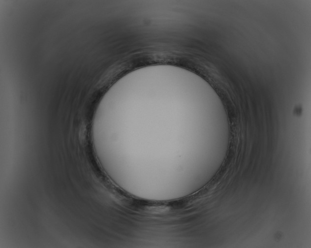 X0000094790266200711160924