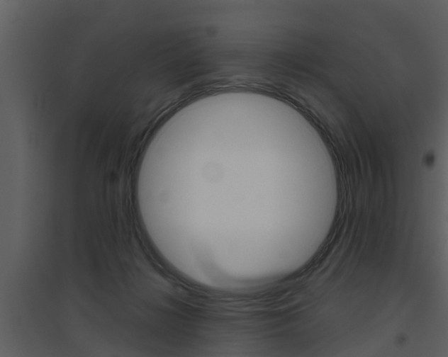 X0000094790268200711160924