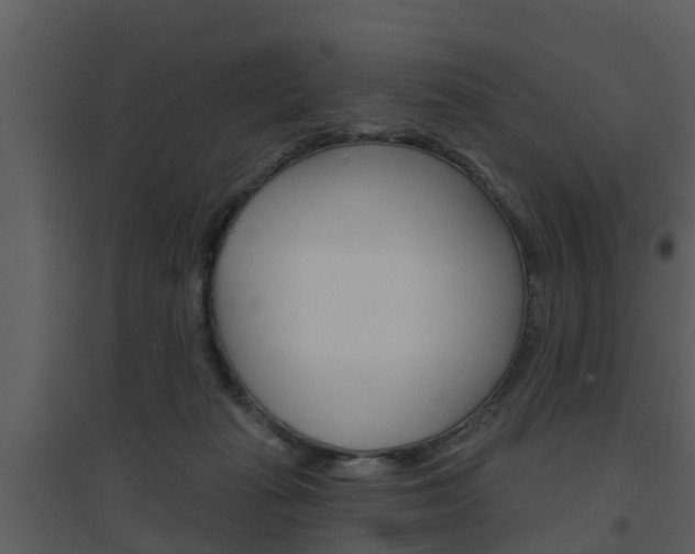 X0000094790269200711160924