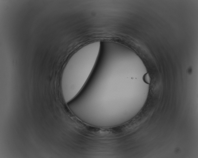 X0000094790270200711160924