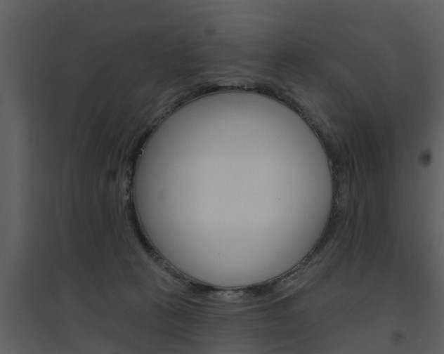 X0000094790273200711160924