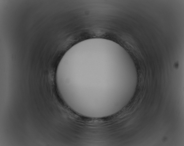X0000094790274200711160924
