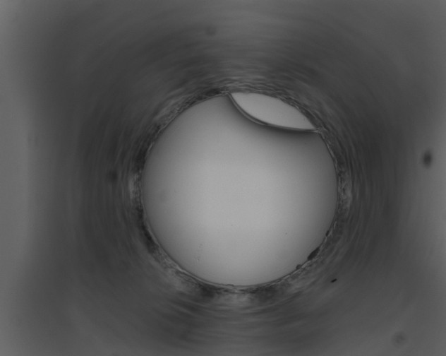 X0000094790276200711160924