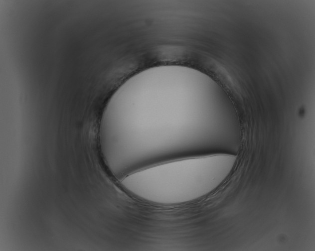 X0000094790277200711160924