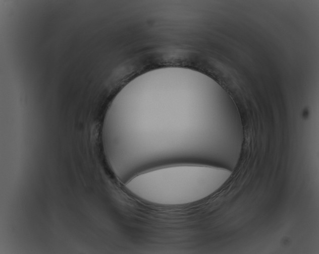 X0000094790278200711160924