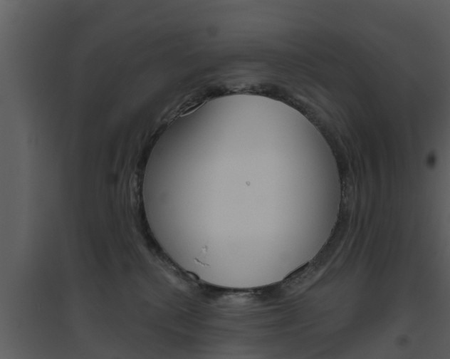 X0000094790280200711160924