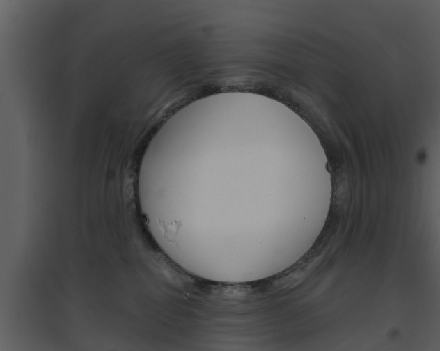 X0000094790282200711160924