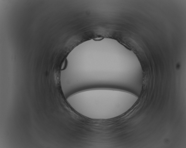 X0000094790285200711160924