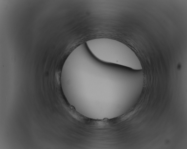 X0000094790286200711160924