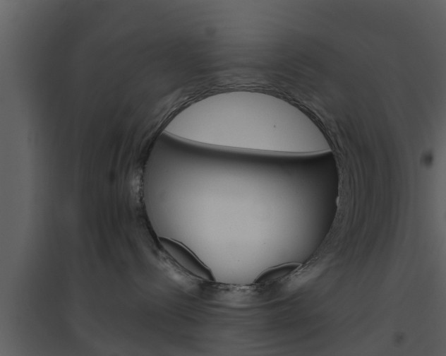 X0000094790288200711160924