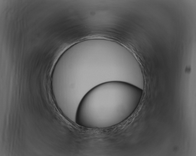 X0000094790289200711160923