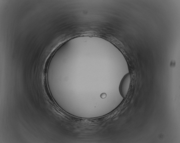 X0000094790290200711160923