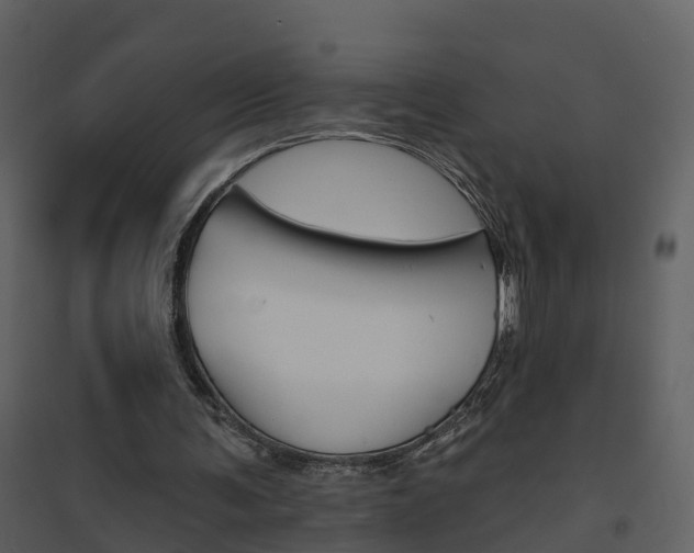 X0000094790291200711160923