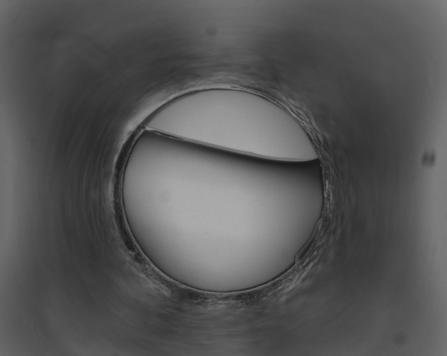 X0000094790292200711160923