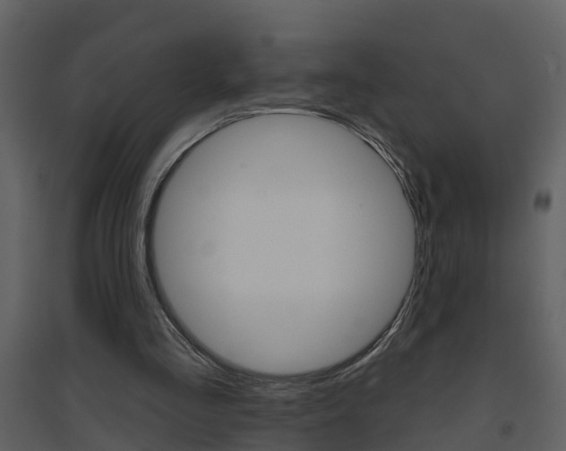 X0000094790293200711160923