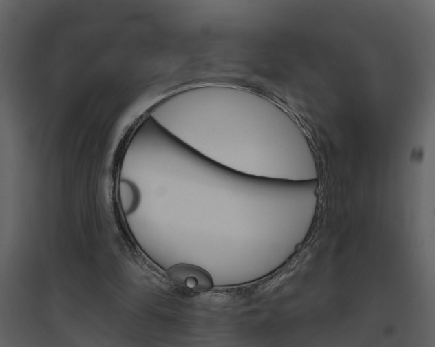 X0000094790294200711160923