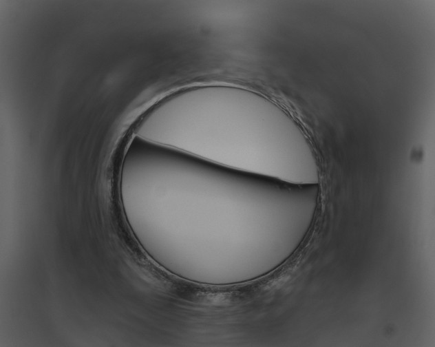 X0000094790295200711160923