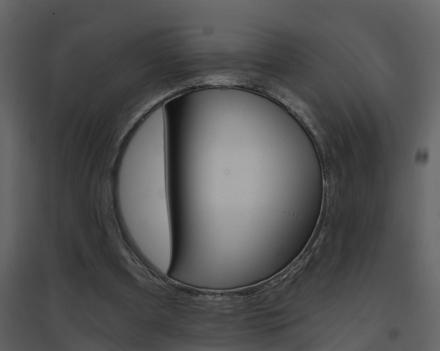 X0000094790297200711160923