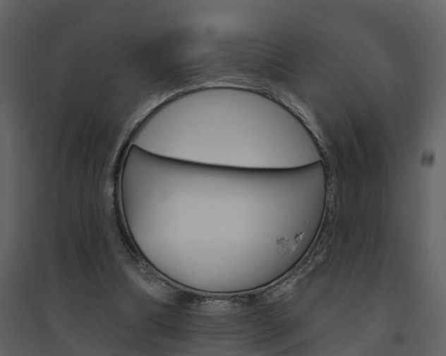 X0000094790298200711160923