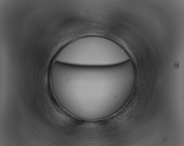 X0000094790299200711160923